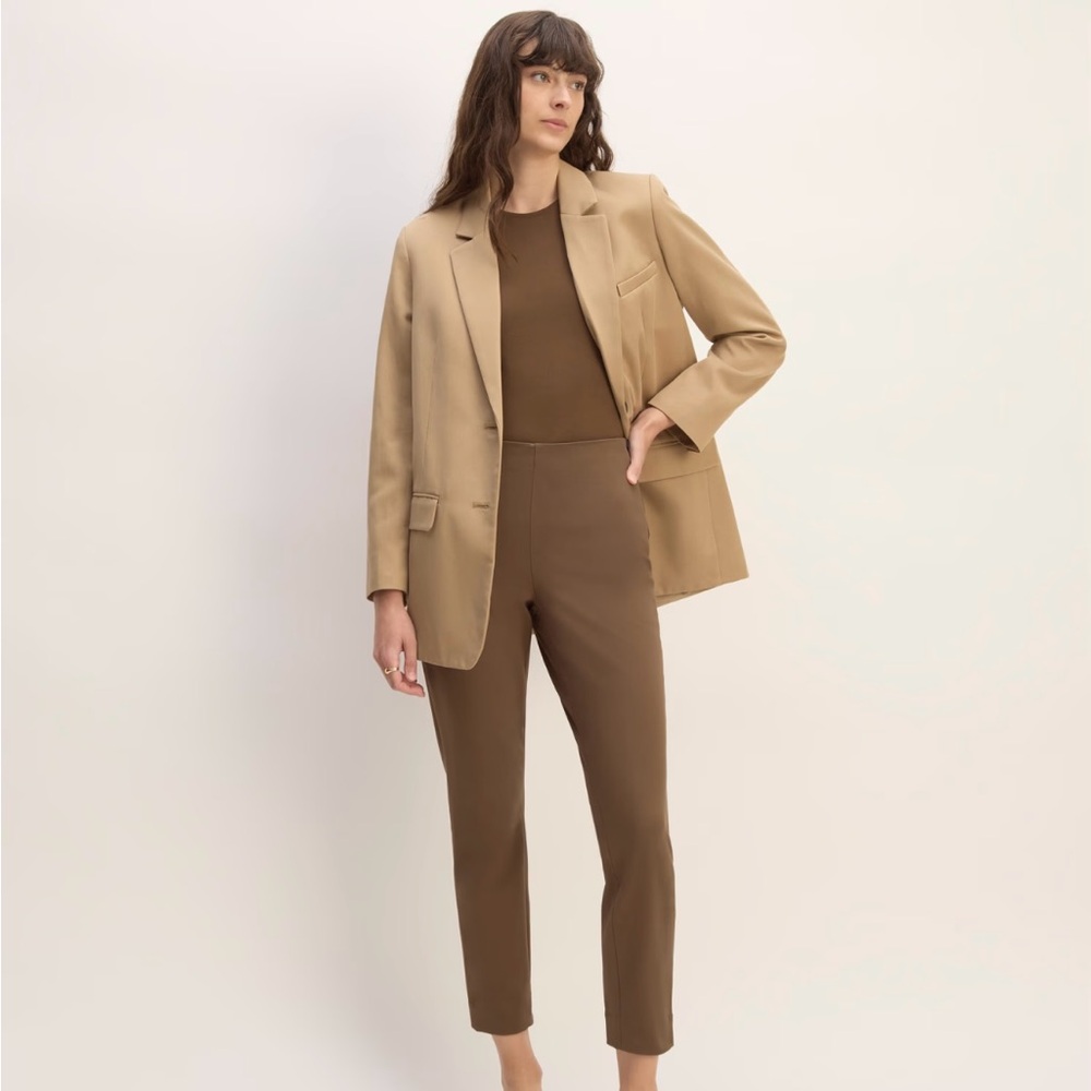 BNWT Everlane bi stretch work pant